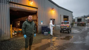Un foyer de grippe aviaire détecté dans un élevage de canards en Bretagne, l’alerte est donnée
